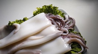 特斯特魷魚保水劑S109在魷魚加工過程中的應用